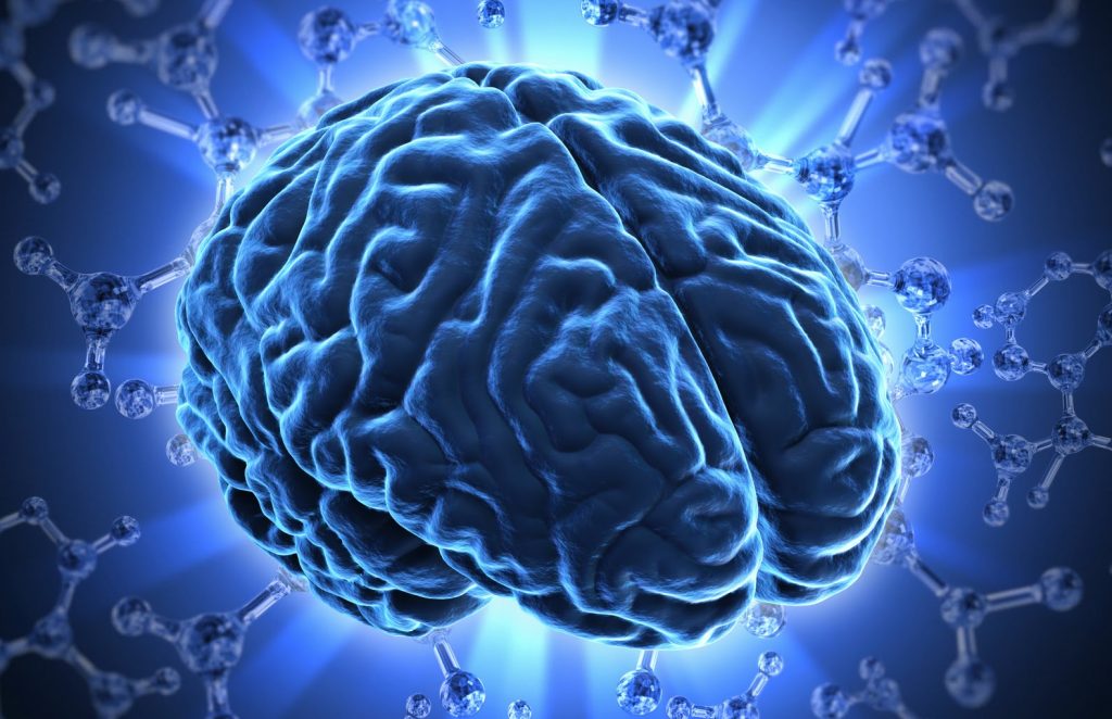 neuropsicopedagogia psiqueasy
