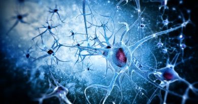 Brain Neurons Alzheimers Reading Room