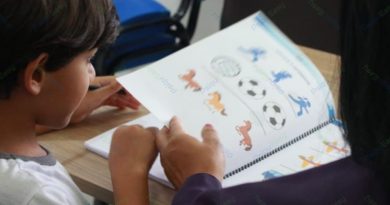 Intervenção Psicopedagógica – Síndrome de Down Volume 03