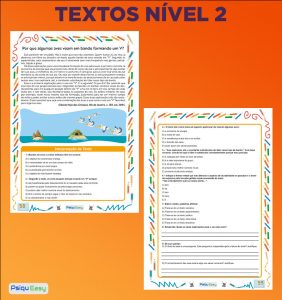 Exemplos_de_Atividades_Textos_Nível_2