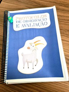 PPpA Matemática Protocolos vol01