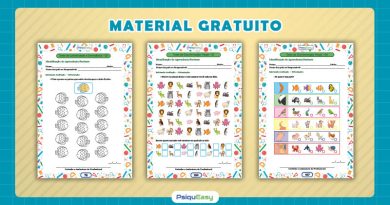 Diagnóstico da Aprendizagem na Prática volume 01 Blog