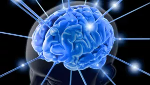 cérebro-inteligencia