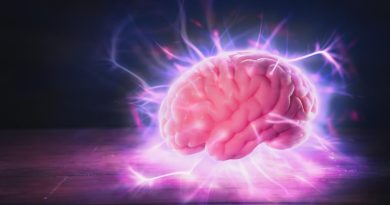 O Cérebro que Aprende: Como a Neurociência Cognitiva Guia Cada Atividade PsiquEasy O Cérebro que Aprende: Como a Neurociência Cognitiva Guia Cada Atividade PsiquEasy