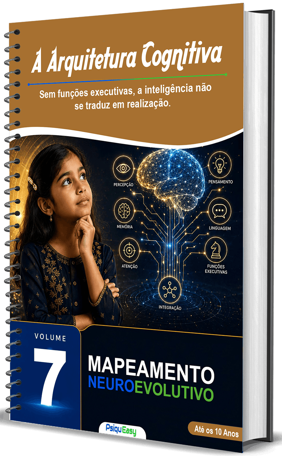 Mapeamento Vol 7