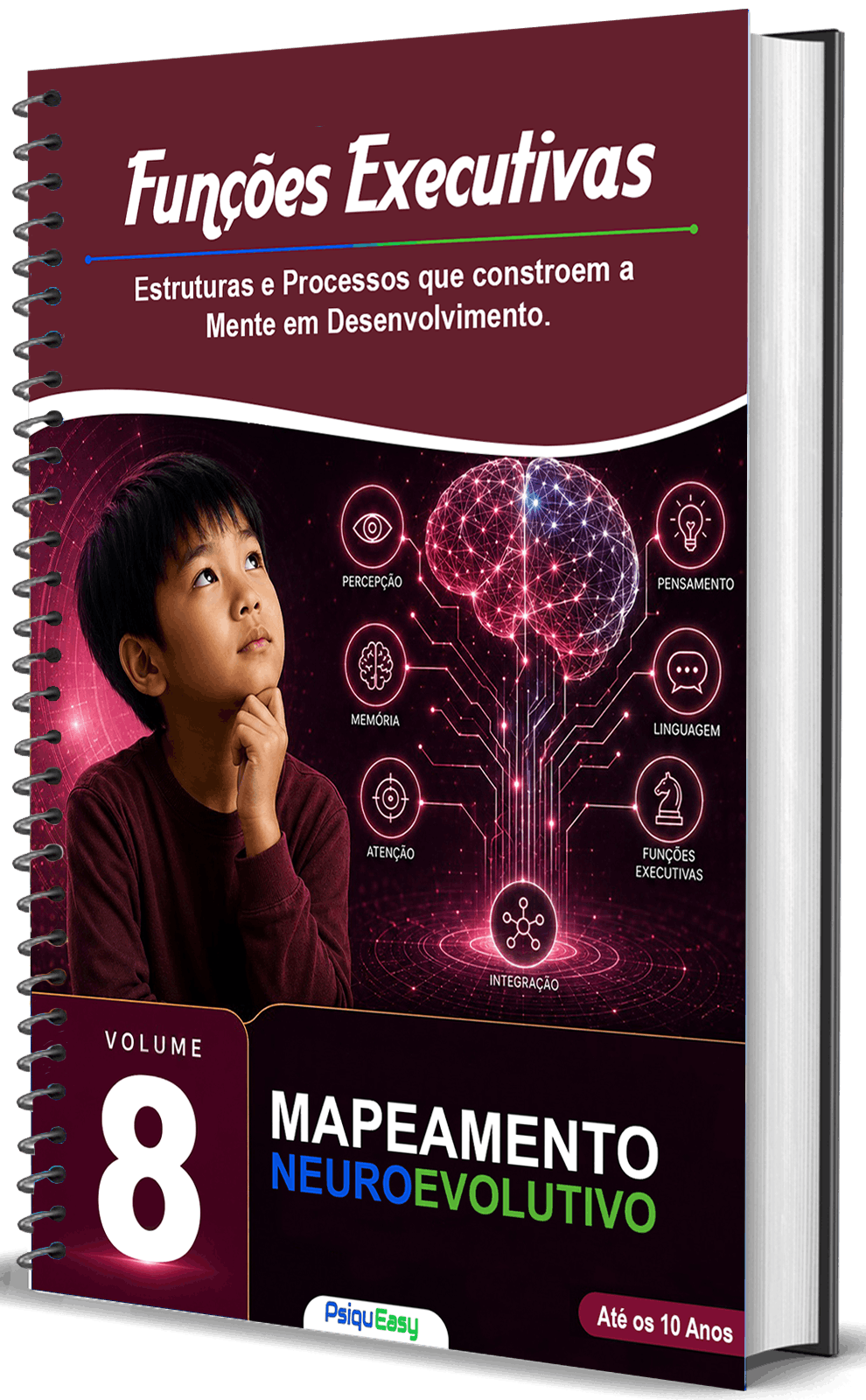 Mapeamento Vol 8